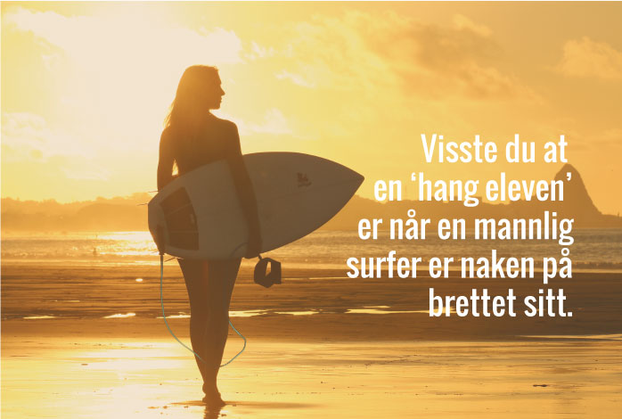 webbilde5
